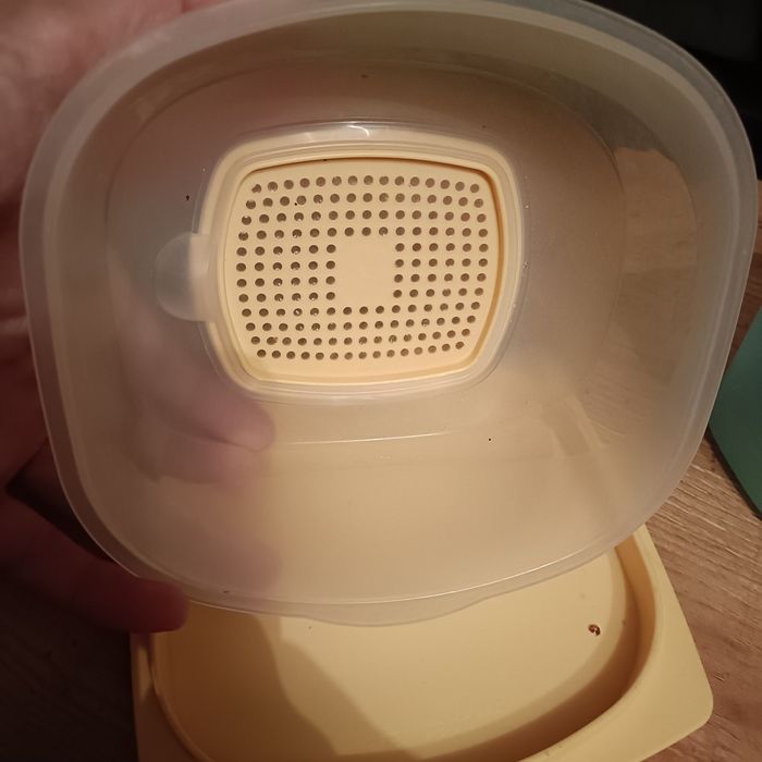 Pojemnik tuppetware na ser