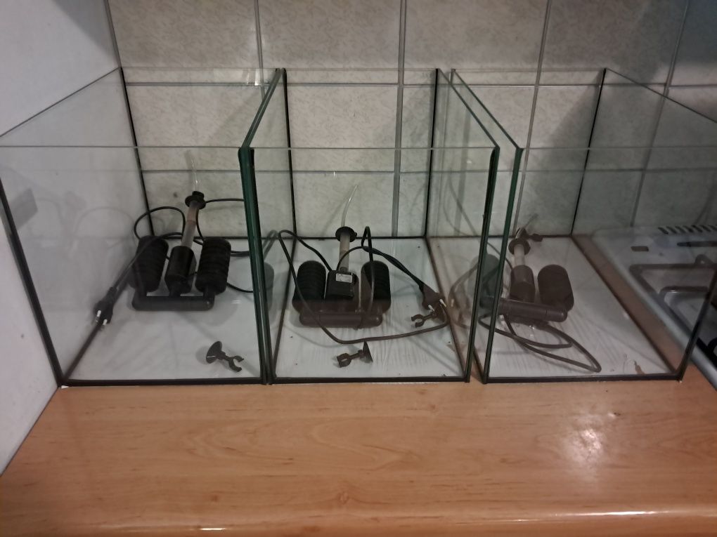Akwarium 30 litrów