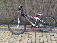 Rower MBike Avanger 24'