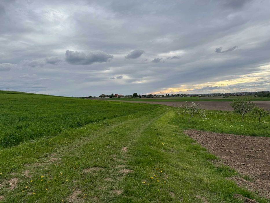 Продаж земельної ділянки с. Колоденка