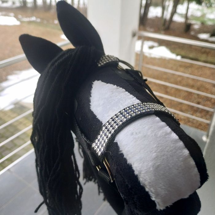 Hobby Horse-koń na kiju