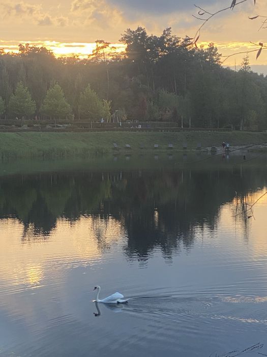 Однокімнатна квартира в Гостомелі з ремонтом біля озера!