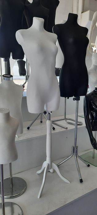 Bustos Adulto (NOVOS)