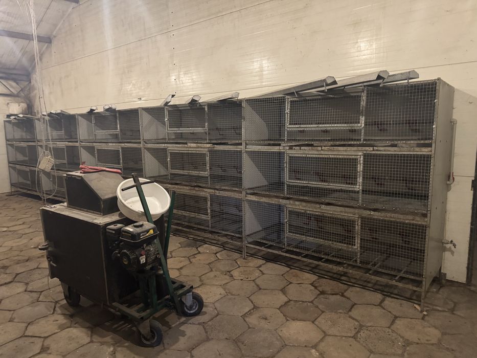 Przepiórki. Bateria do hodowli- AUTOMAT!. Klatki dla przepiorek
