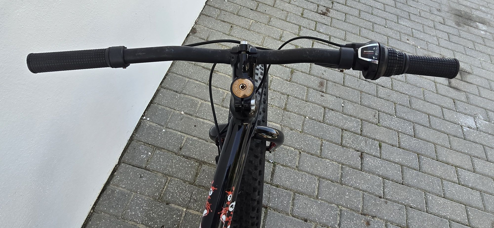 Bicicleta FatBike
