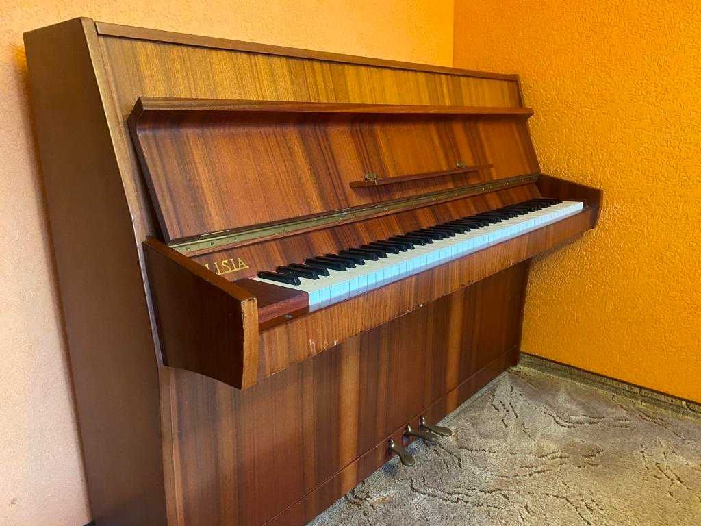 Pianino CALISIA.