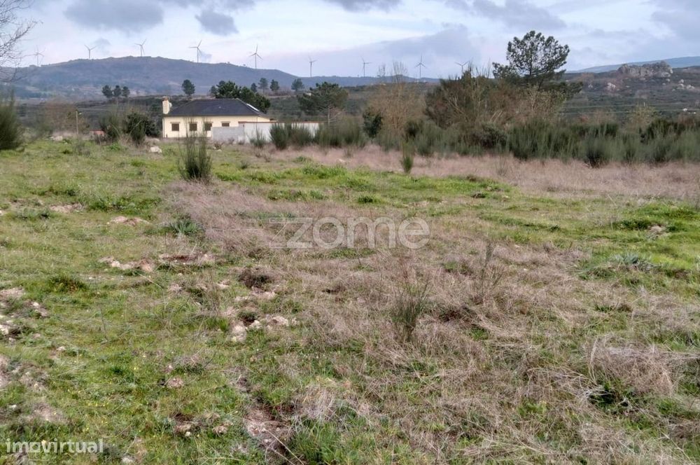 Terreno Rústico em Cortiçô da Serra