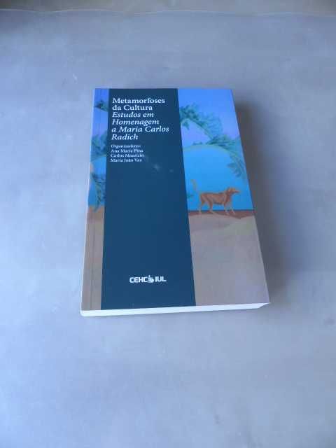 Metamorfoses da Cultura de Ana Maria Pina