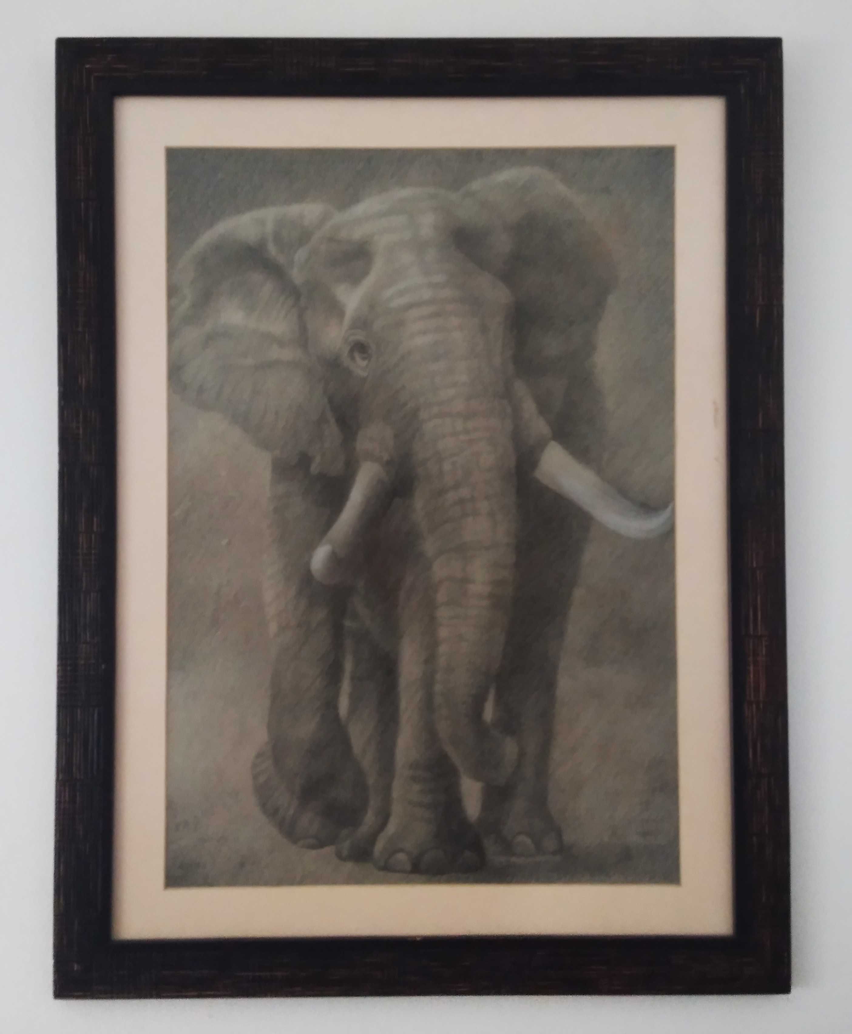 Quadro Elefante. Carvão.