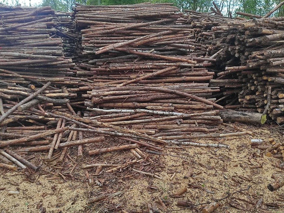 Drewno opałowe Sosna workowane i sypane luzem