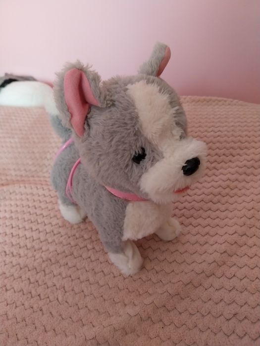 Piesek interaktywny.