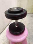 Vendo dois pares de halteres de cada um 24kg