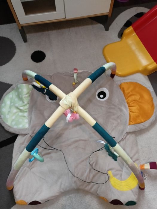 Mata niemowlęca słoń