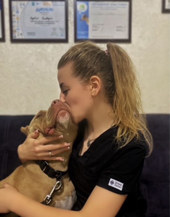 Передержка животных/Перетримка тварин /Готель для тварин /Вигул