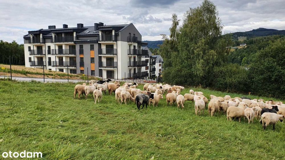 Apartament 1piętro z widokiem na góry obok wyciągu