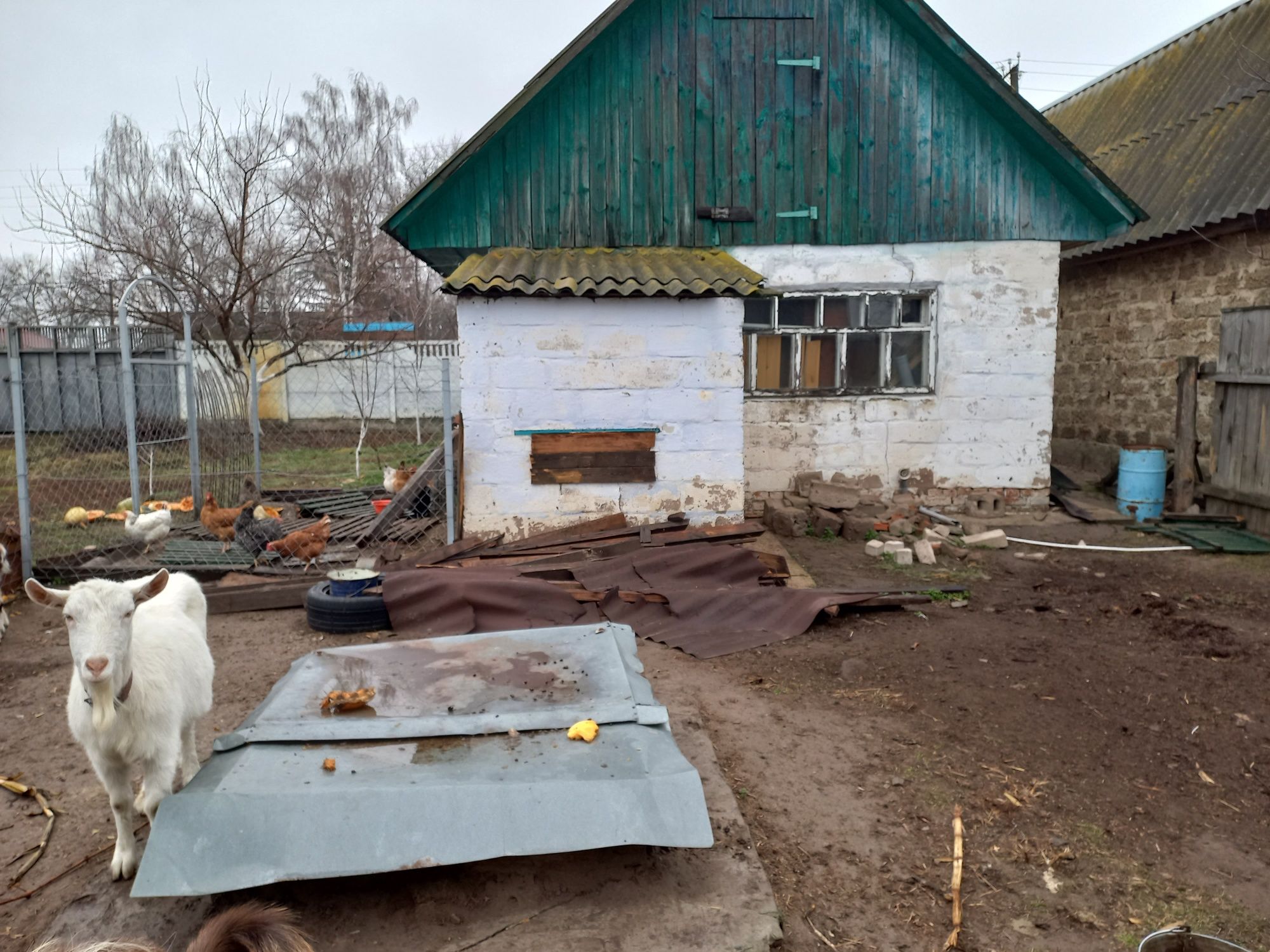 Продам будинок в с. Ведильці,  Чернігівська область