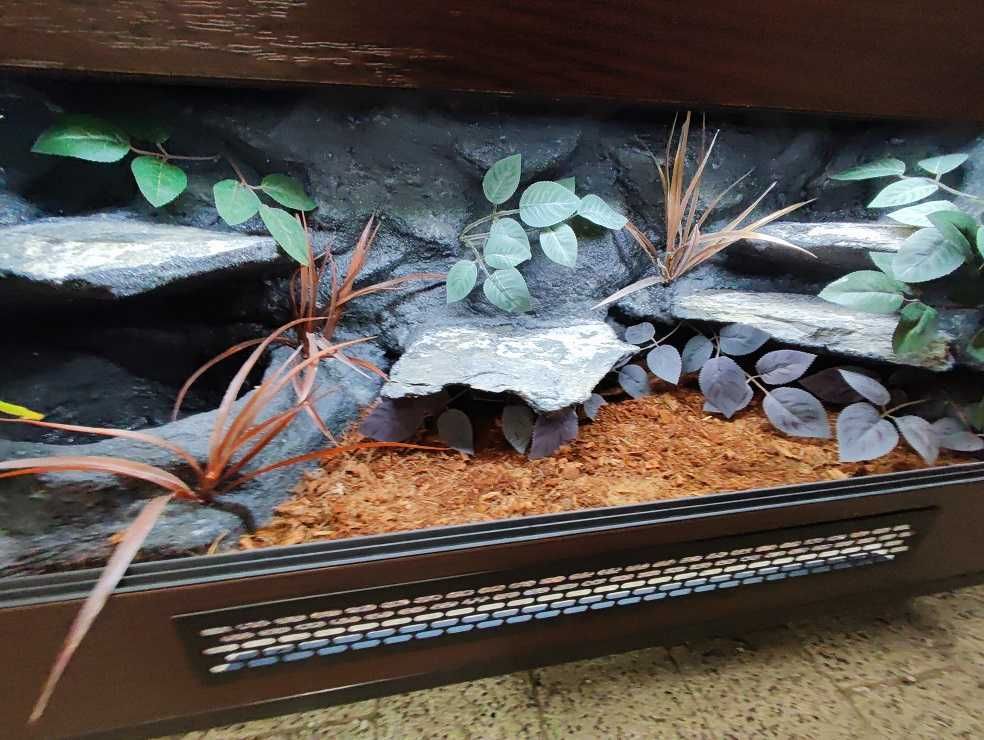 Terrarium nr499 100/40/40 dla węża boa pytona zbożówki - NA ZAMÓWIENIE