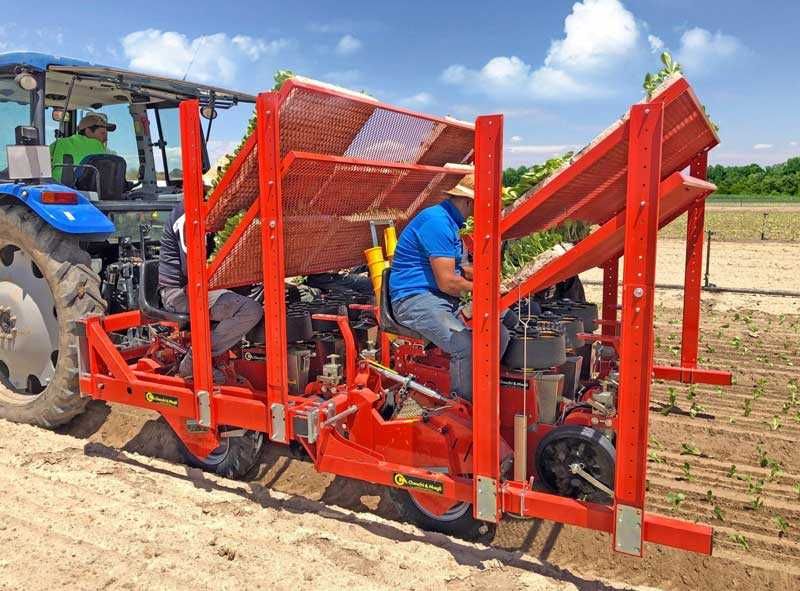 Саджалка ОВОЧЕВА Checchi & Magli перцю, капусти, баклажанів, помідорів