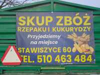 Pszenica Kukurydza Rzepak