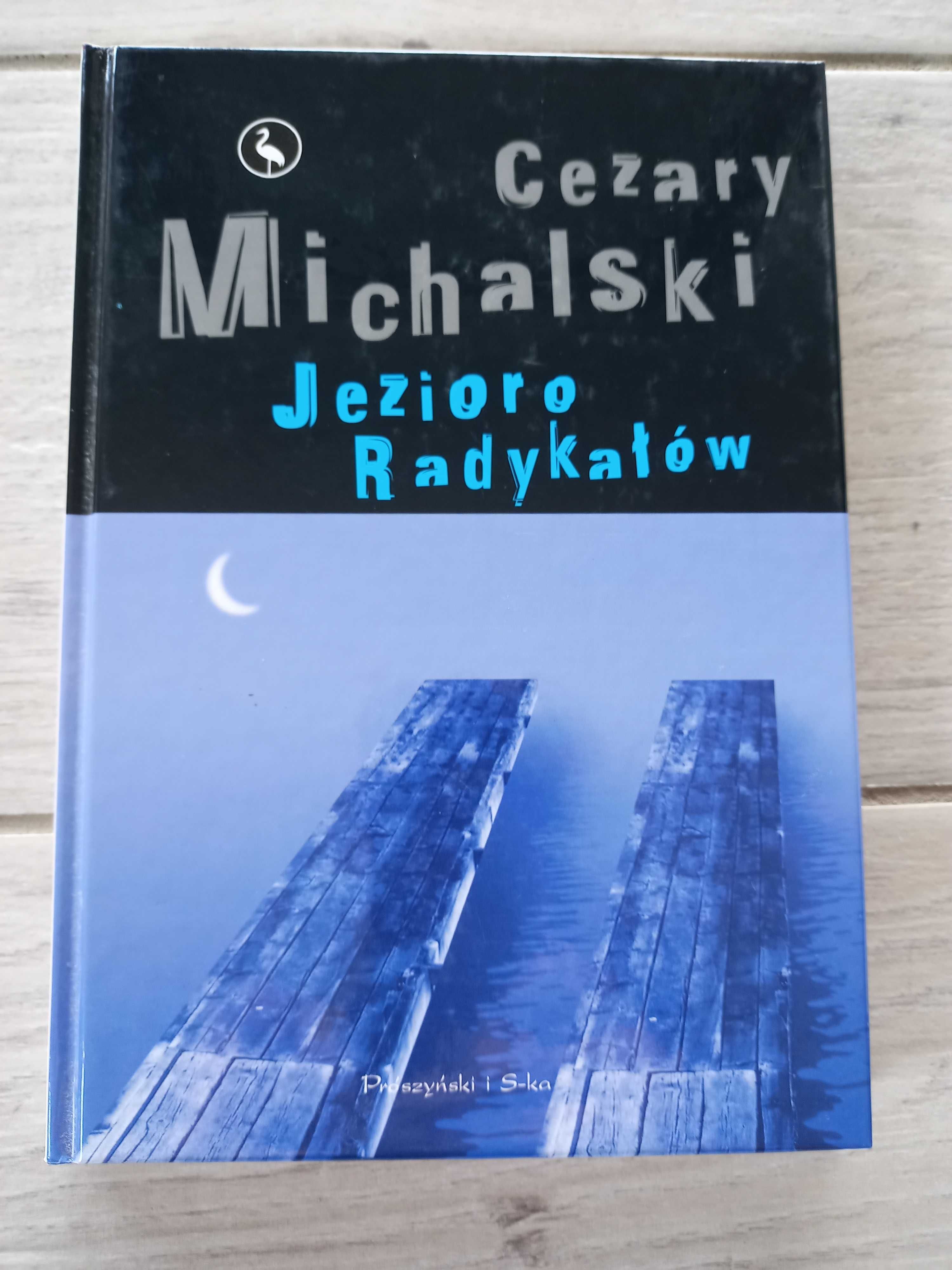 Jezioro Radykałów powieść 2004