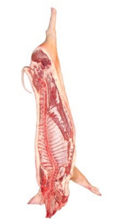 Półtusze wieprzowe, świeże, zdrowy chów , Gospodarstwo rodzinne