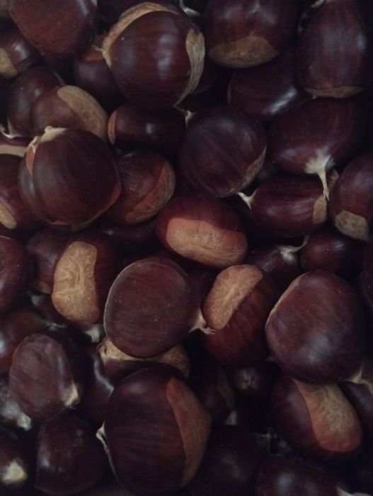 Castanhas 3.50€kg