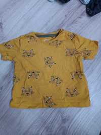 NOWA bluzeczka/bluzka niemowlęca krótki rękaw rozmiar 62 Cool Club