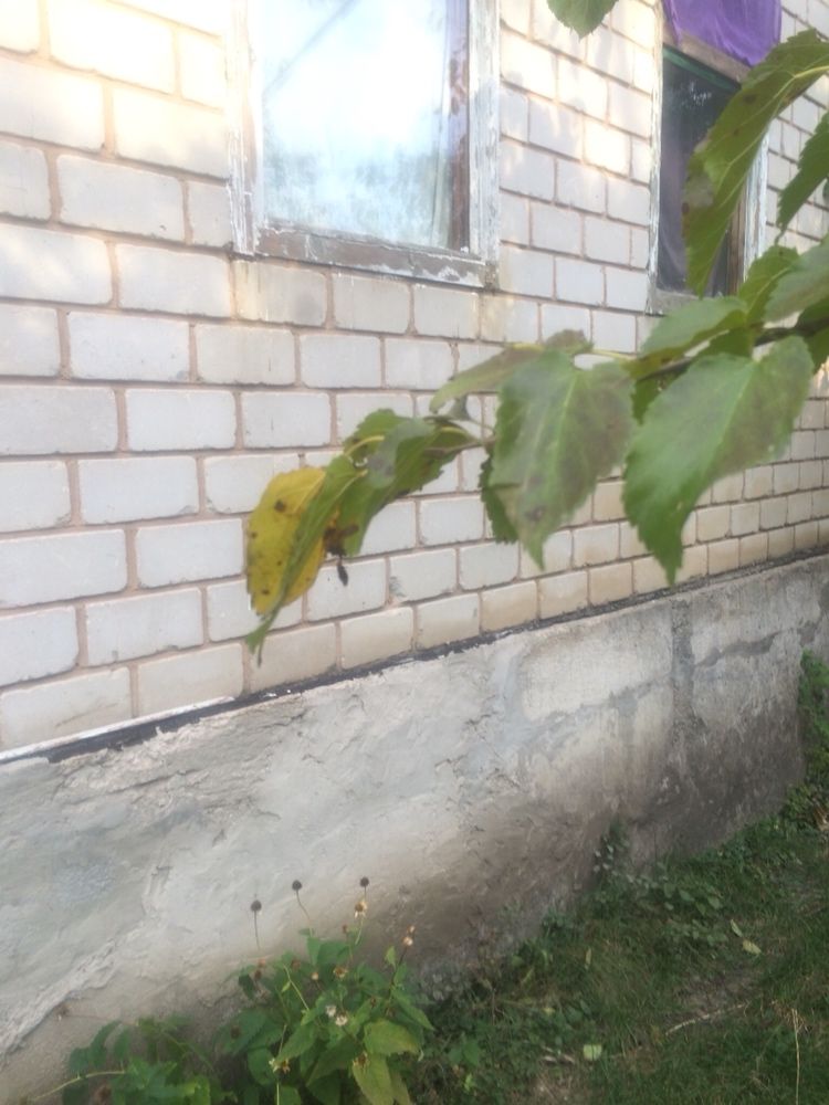 Продам дачу в районе «Чайка» садовое общество «Сосновый Бор»