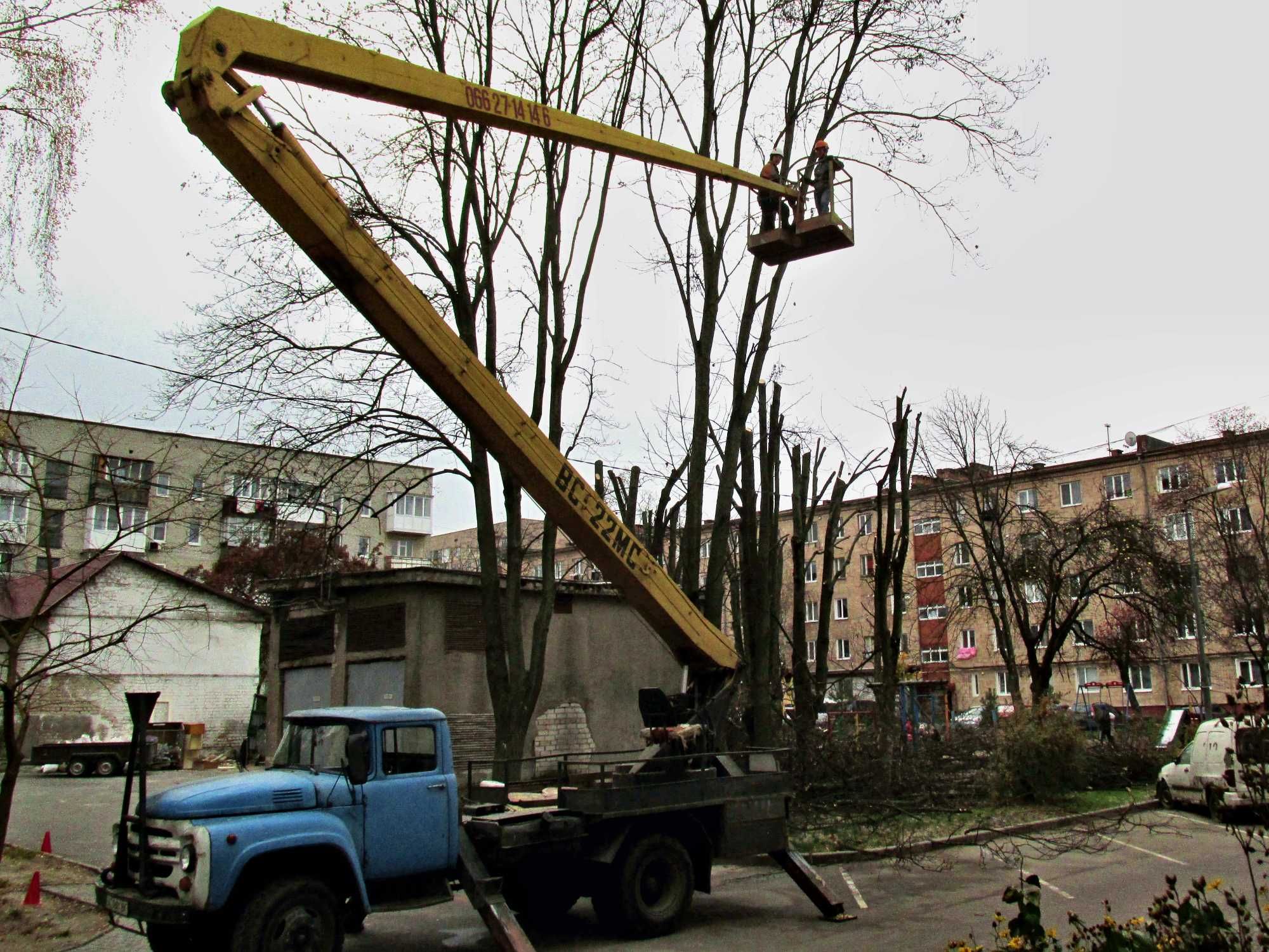 Валка та обрізка дерев (зрізання, спилювання, видалення, кронування)