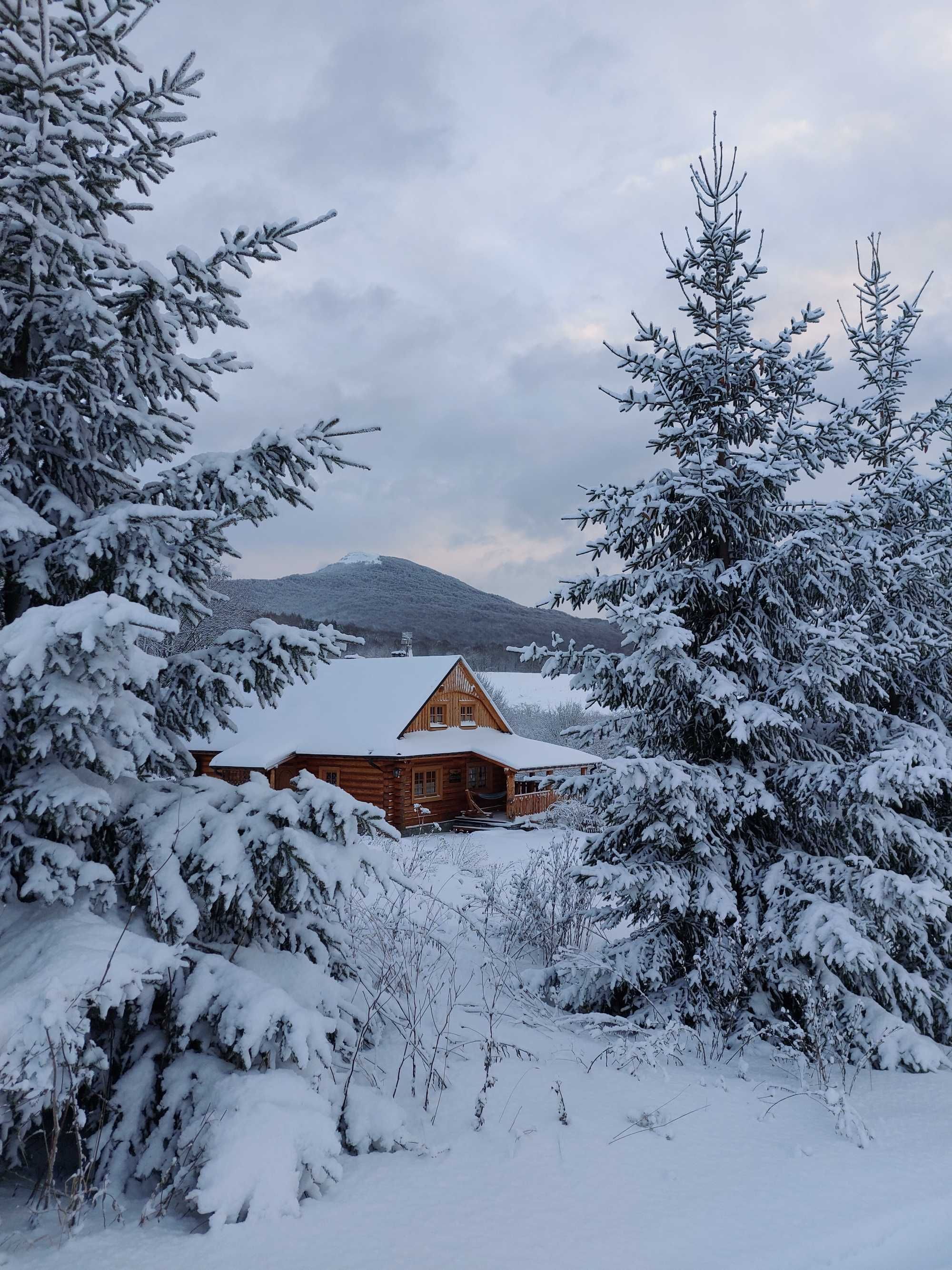 Wakacje Noclegi Bieszczady Pokoje w Wetlinie Bieszczadzkie Marzenie