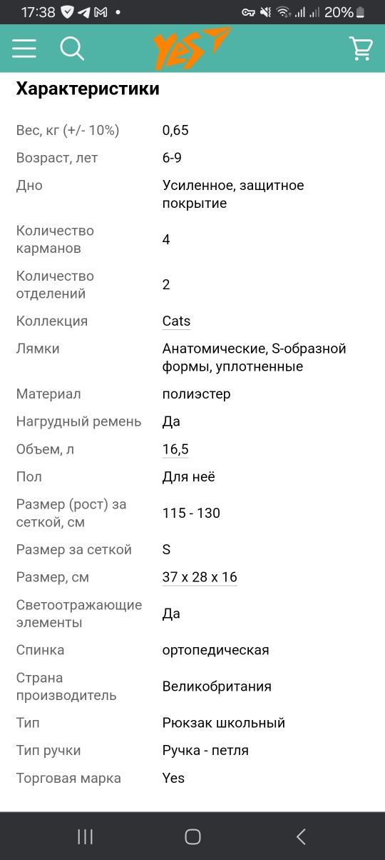 Школьный рюкзак YES