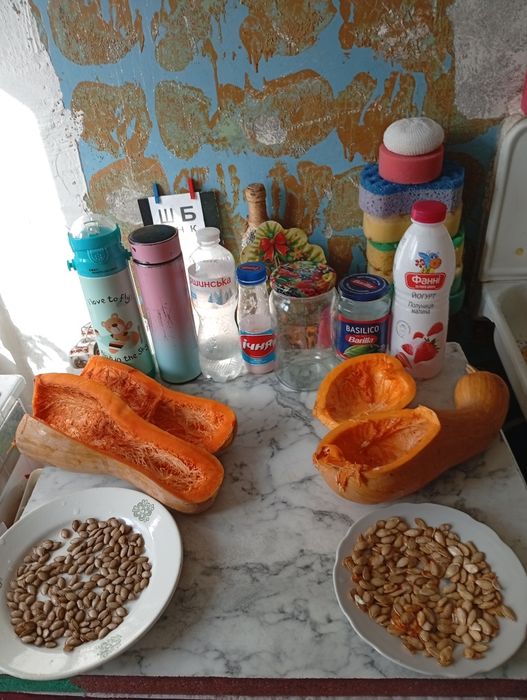 Прдам семена тыквы