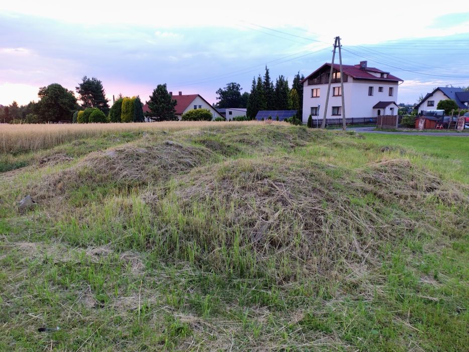 Oddam ziemię. Z wykopu za darmo