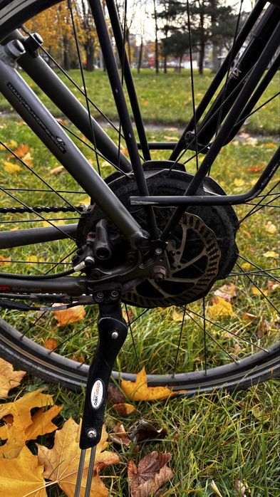 Rower Electryczny Kalkhoff