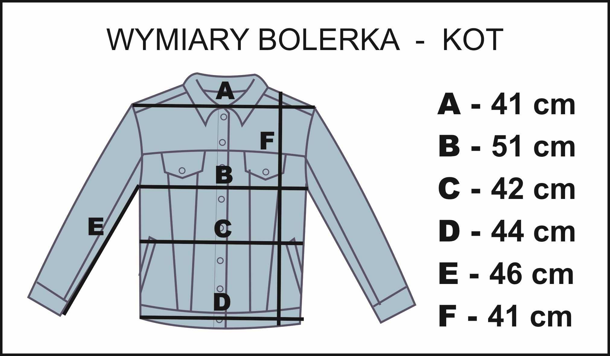 Ręcznie malowana kurtka jeansowa