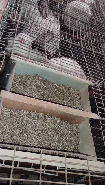 Комбікорм для кролів преміум з вітамінами повноцінний