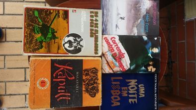 Lote de Livros Diversos 1