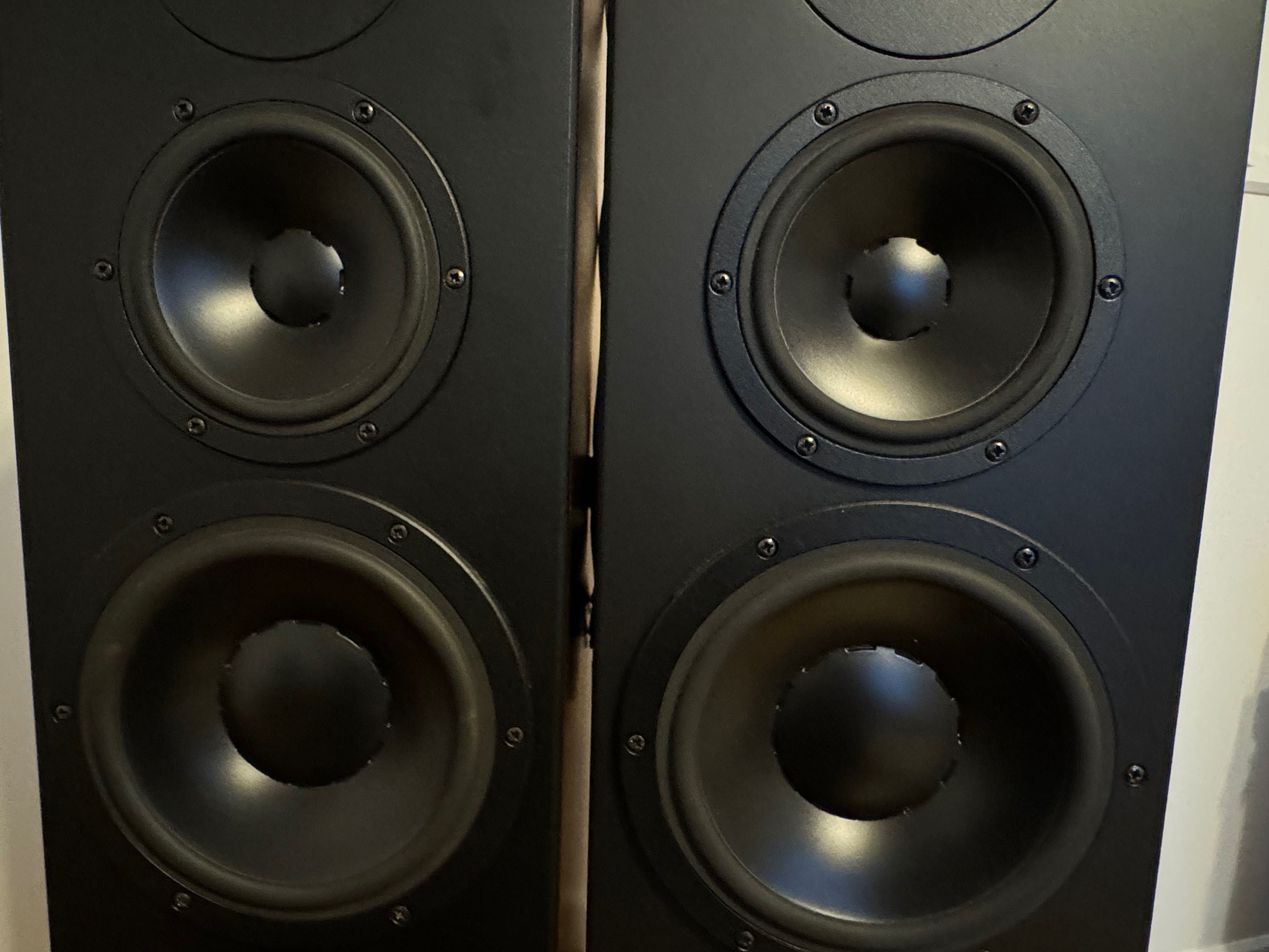 Dynaudio audience 82