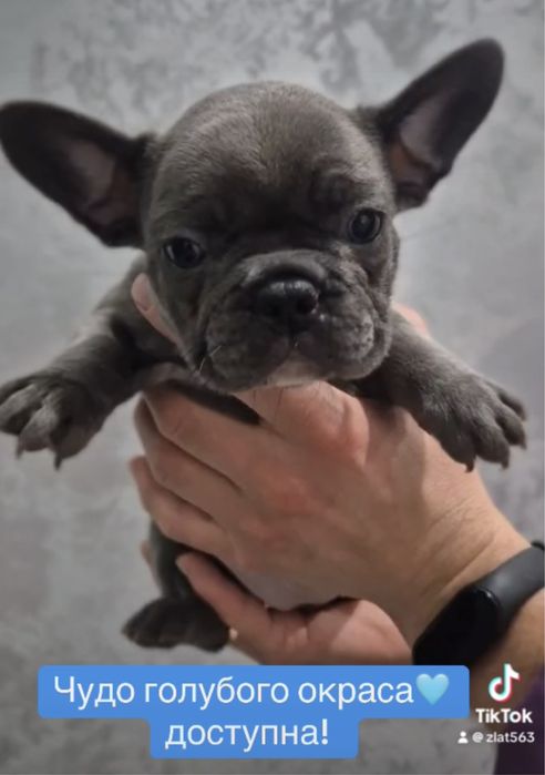 Голубая девочка с голубыми глазками