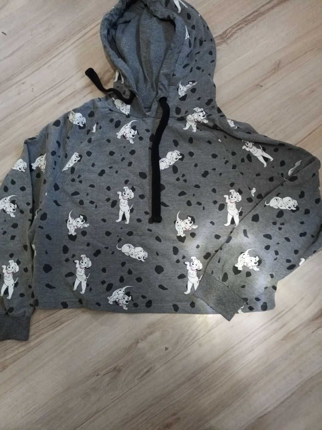 bluza szara - dalmatyńczyk