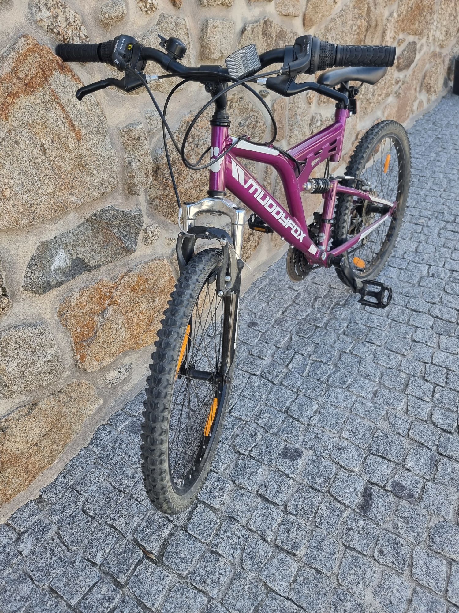 Bicicleta rodado 24