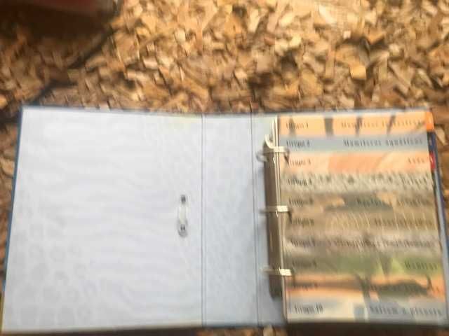 O Fascinante Mundo animal