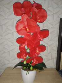 Латексні орхідеї