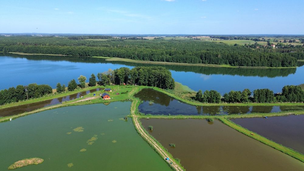 Domek nad jeziorem z balią jacuzzi na Mazurach do 10/12 osób, dom