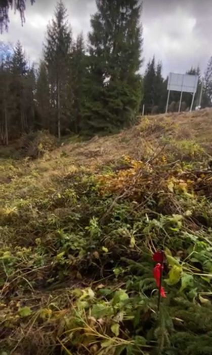 Хороша пропозиція земельної ділянки - Яблуниця