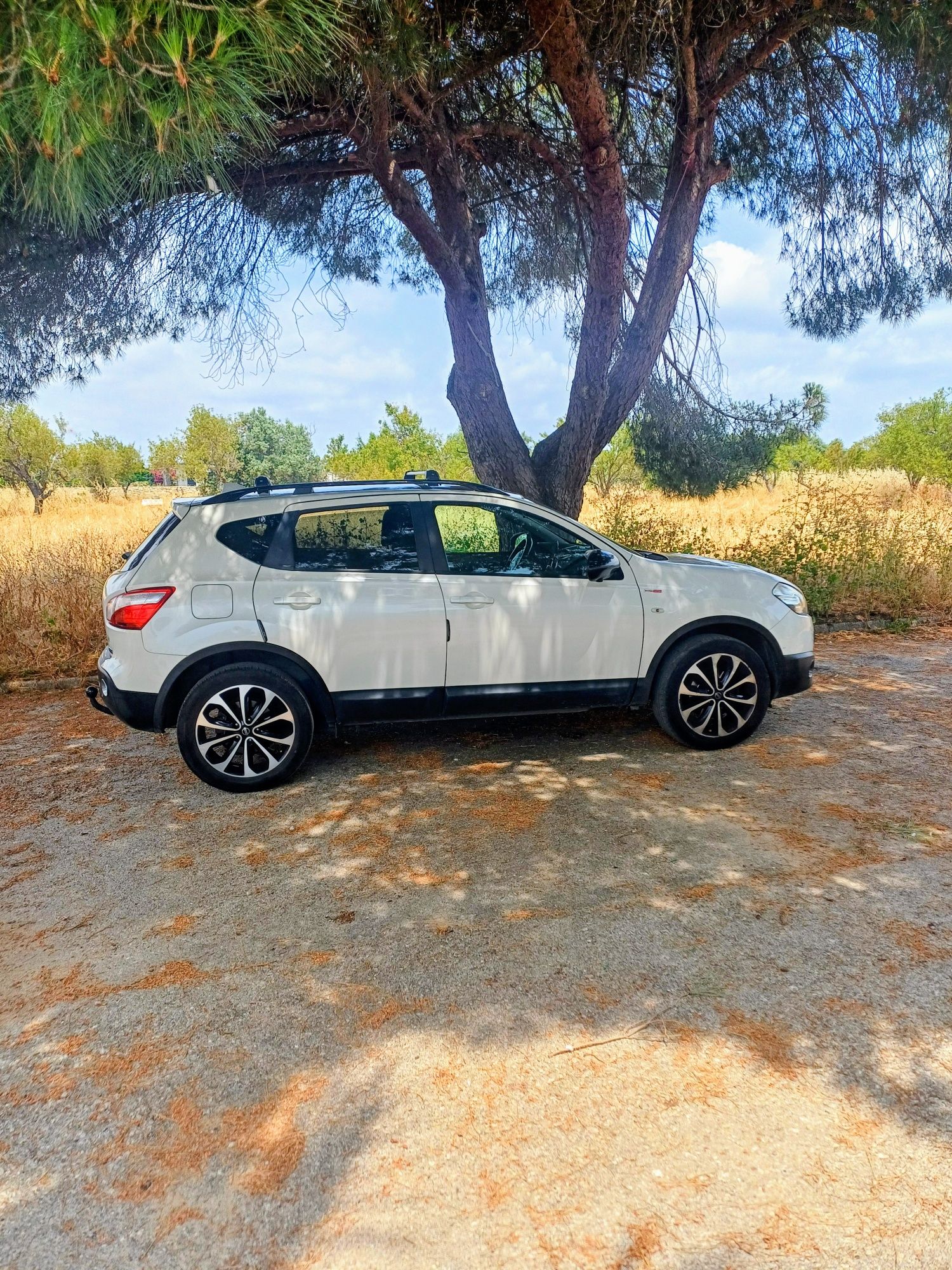 Nissan Qashqai 1.6 Dci de 2013