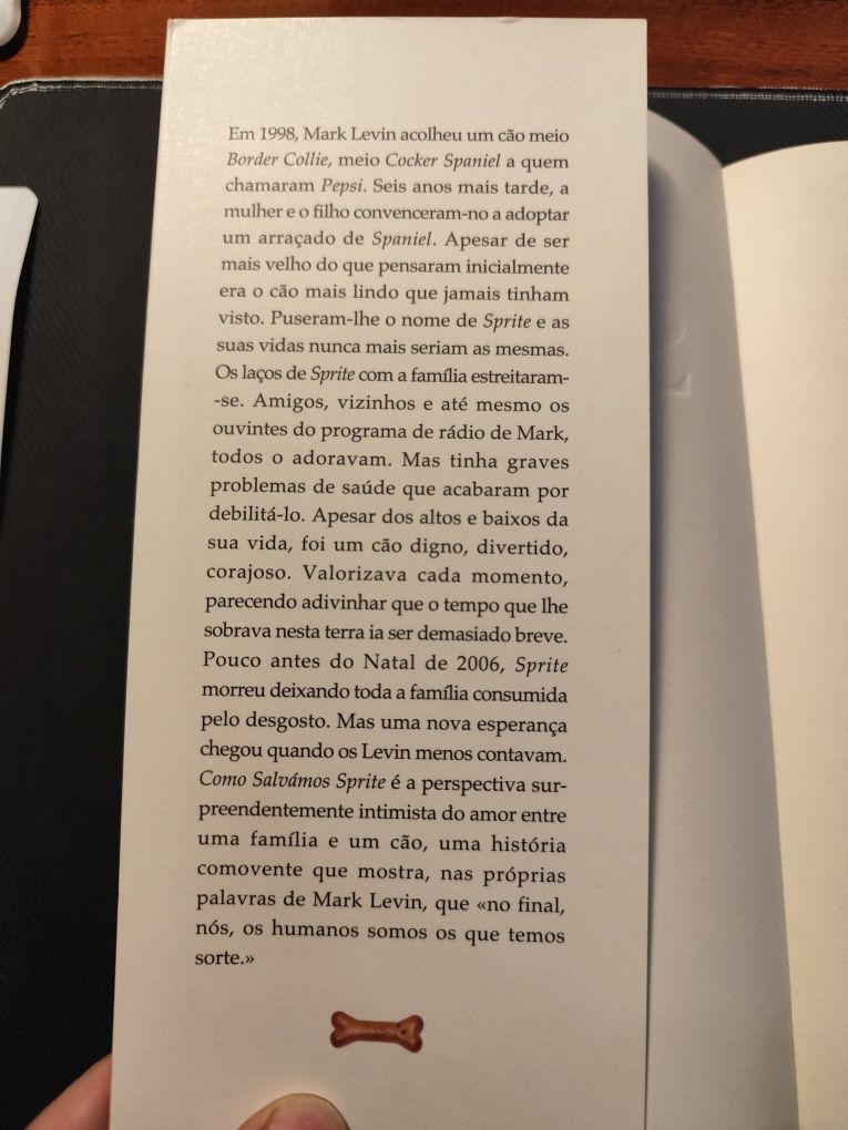 Como Salvámos Sprite
