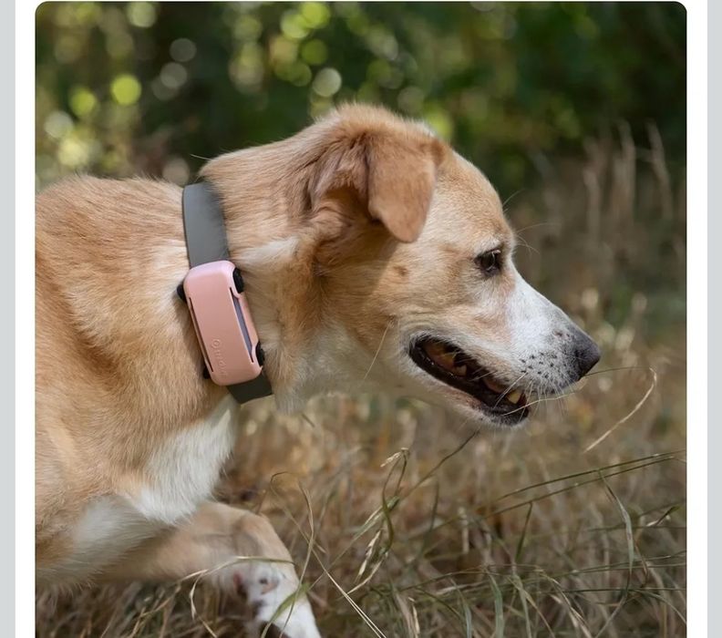 Tractive GPS Dog 6 Tracker Cover - różowa