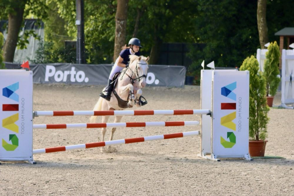 Cavalo experiente nos obstaculos