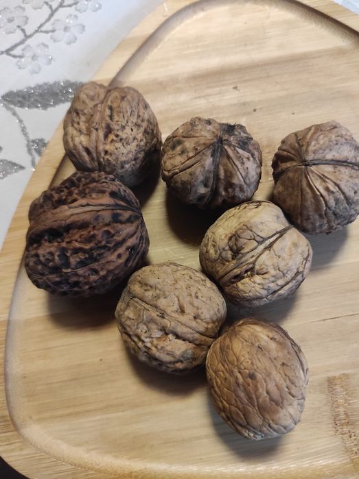 Sprzedam orzechy włoskie Jacki